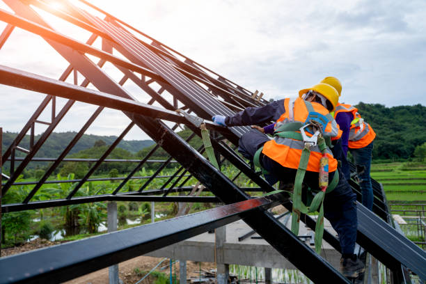 Best Flat Roof Repair Services  in Hesston, KS