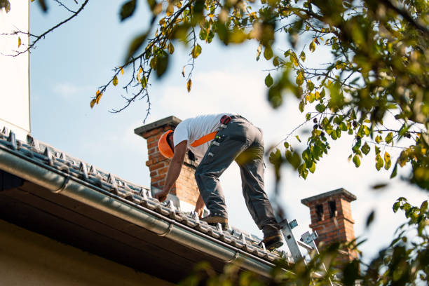 Best Sealant for Roof  in Hesston, KS