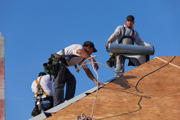 Best Roof Restoration Services  in Hesston, KS