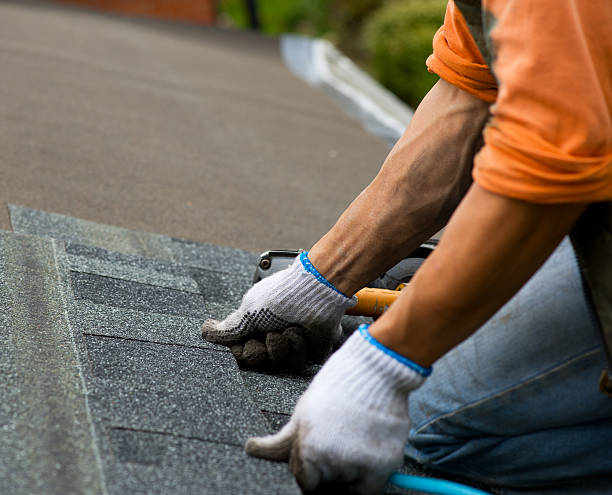Best Flat Roof Repair Services  in Hesston, KS